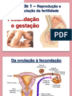 Fecundação e Gestação PDF