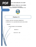 Practica Nº 2