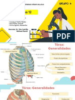 Anatomia de La Region Toracica