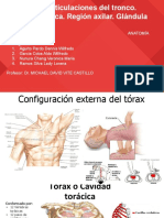 Músculos y Articulaciones Del Tronco, Región Cardiaca y Región Axilar