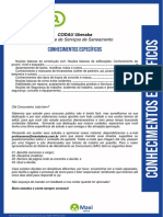 03 Conhecimentos Especificos PDF