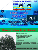 S1 PPT Fisiología Vegetal 2020-2-RVT PDF