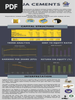 Ambuja Cements: Capital Structure