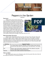 Peppers in The Garden PDF