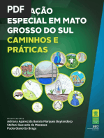 Educação Especial em MS Caminhos e Práticas PDF