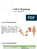 From Cell To Organism: Levels of Organization