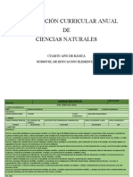 P.C.A. 4to CCNN Actualizado