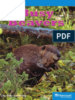 27 Busy Beavers