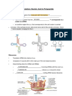 7.3 Translation Nucleic Acid To Polypeptide-Student Sheet PDF