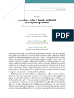 Reflexiones Sobre El Derecho Ambiental en Tiempos de Pandemia