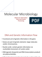 فيروسات PDF