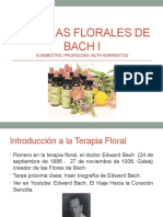 Clase Introduccion Flores y Bach