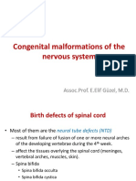 Congenital Malformations of The Nervous System PDF