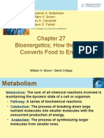 Bioenergetics How The Body Converts Food To Energy