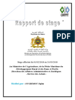 Rapport de Stage SAFAA