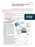 Liberation de L Energie Emmagasinee Dans La Matiere Organique Corriges D Activites 1 PDF