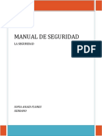 Manual Seguridad