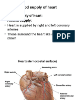 Blood Supply of Heart