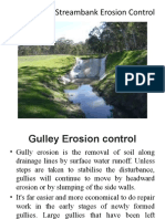 Gulley and Streambank Erosion Control