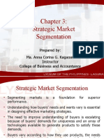 Chapter 3 Strategic Market Segmentation