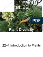 Plant Diversity