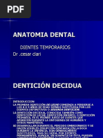 Anatomia Dental Temporales