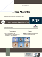 Heridas Aberrantes PDF