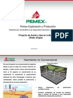 Proyecto Aceite y Gas en Lutitas SASIPAv1 PDF