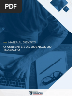 O Ambiente E As Doenças Do Trabalho