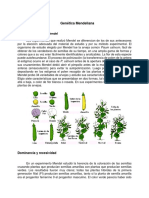 Genética Mendeliana