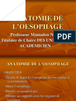 Anatomie de L'oesophage 2 PDF