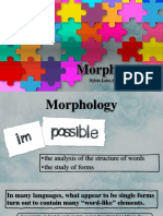 Report 2-Morphology PDF