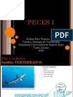 ZOOLOGÍA DE VERTEBRADOS Clase 3 Peces I PDF