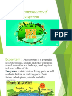 Components of Ecosystem