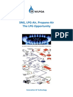 2017 SNG The LPG Opportunity PDF