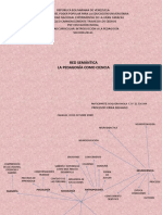 Trabajo 1 Red Semantica de La Pedagogia Como Ciencia