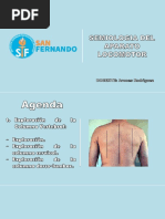 Semiologia de Columna Vertebral PDF