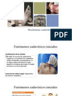 Indicios y Fenómenos Cadavéricos