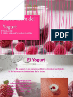 Elaboracion de Yogurt