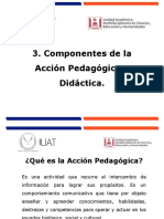 Componentes de La Acción Pedagógica y Didáctica