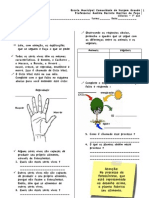 Estudo Dirigido - 7o Ano