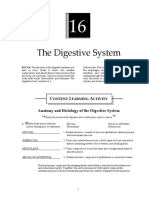 The Digestive System: Ontent Earning Ctivity