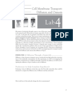 Lab 4 PP 25-31 WMtWeec PDF