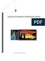 Guia para Principiantes Interpretacion Sísmica