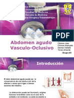 Seminario Abdomen Agudo Vasculo