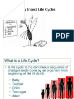 4 - FBS 45 - UNDERSTANDING THE LIFE CYCLE OF INSECTS - 1st Sem 2020 BNW