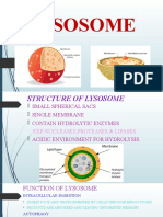 Bio Lysosome Notes