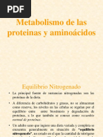 Metabolismo de Proteinas