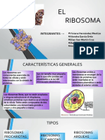 RIBOSOMAS