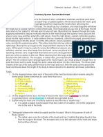 Circulatory System Review Worksheet